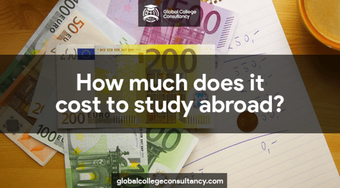 how-much-does-it-cost-to-study-abroad-ultimate-guide-2023